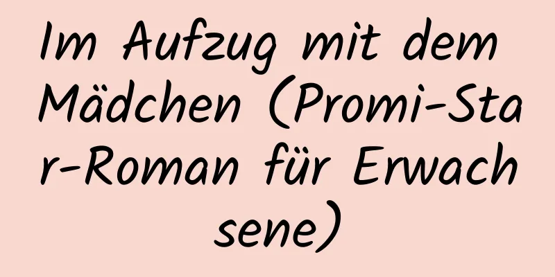 Im Aufzug mit dem Mädchen (Promi-Star-Roman für Erwachsene)