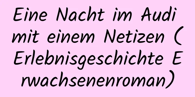 Eine Nacht im Audi mit einem Netizen (Erlebnisgeschichte Erwachsenenroman)