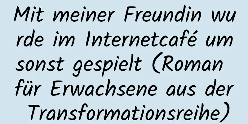 Mit meiner Freundin wurde im Internetcafé umsonst gespielt (Roman für Erwachsene aus der Transformationsreihe)