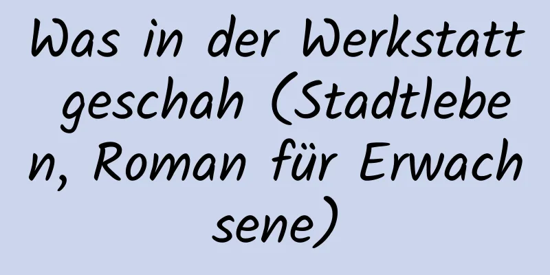 Was in der Werkstatt geschah (Stadtleben, Roman für Erwachsene)