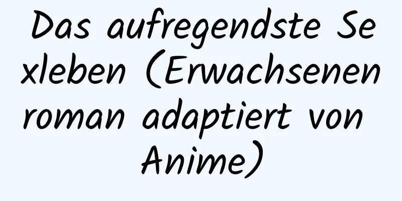 Das aufregendste Sexleben (Erwachsenenroman adaptiert von Anime)