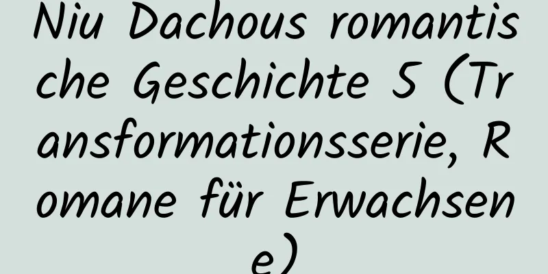 Niu Dachous romantische Geschichte 5 (Transformationsserie, Romane für Erwachsene)