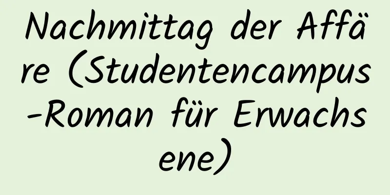 Nachmittag der Affäre (Studentencampus-Roman für Erwachsene)