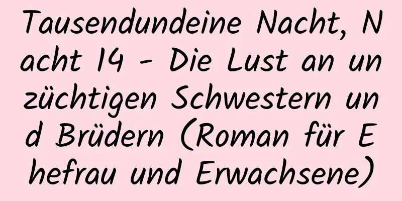 Tausendundeine Nacht, Nacht 14 - Die Lust an unzüchtigen Schwestern und Brüdern (Roman für Ehefrau und Erwachsene)