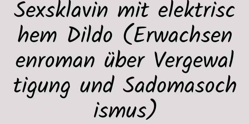 Sexsklavin mit elektrischem Dildo (Erwachsenenroman über Vergewaltigung und Sadomasochismus)