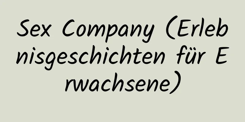 Sex Company (Erlebnisgeschichten für Erwachsene)