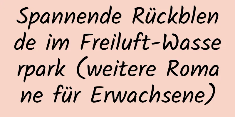 Spannende Rückblende im Freiluft-Wasserpark (weitere Romane für Erwachsene)