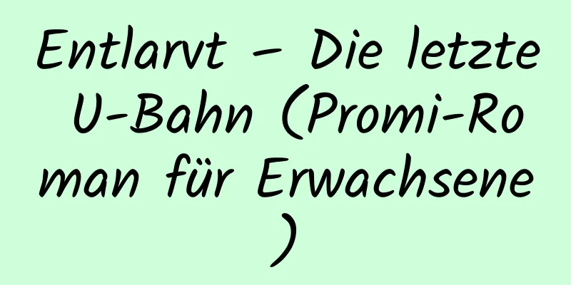 Entlarvt – Die letzte U-Bahn (Promi-Roman für Erwachsene)