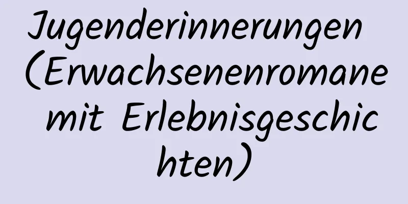 Jugenderinnerungen (Erwachsenenromane mit Erlebnisgeschichten)