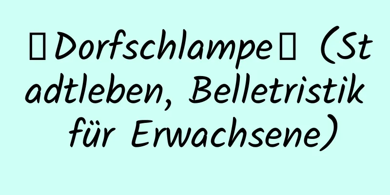 【Dorfschlampe】 (Stadtleben, Belletristik für Erwachsene)