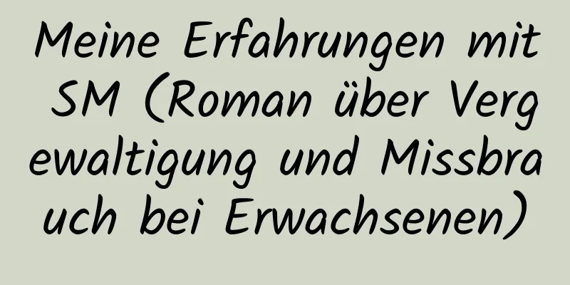 Meine Erfahrungen mit SM (Roman über Vergewaltigung und Missbrauch bei Erwachsenen)