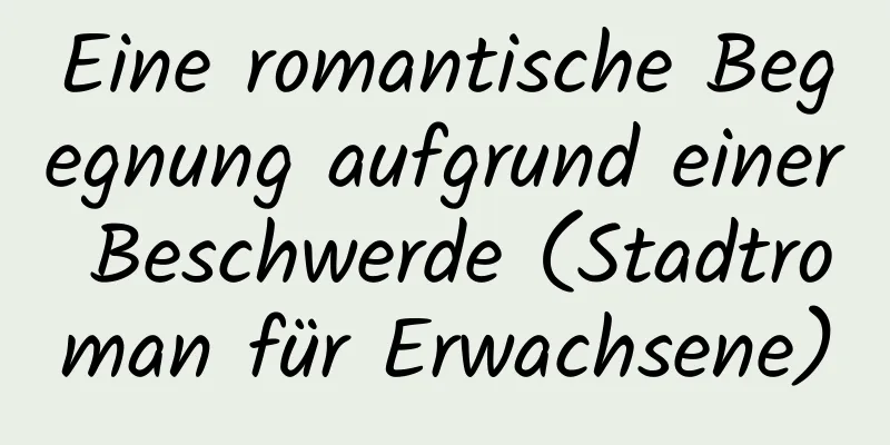 Eine romantische Begegnung aufgrund einer Beschwerde (Stadtroman für Erwachsene)