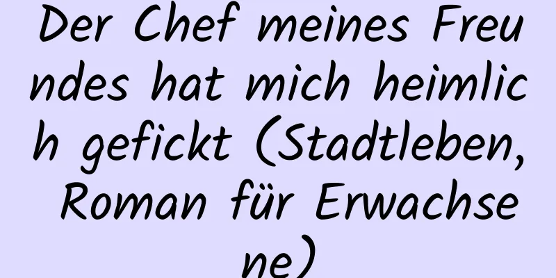 Der Chef meines Freundes hat mich heimlich gefickt (Stadtleben, Roman für Erwachsene)