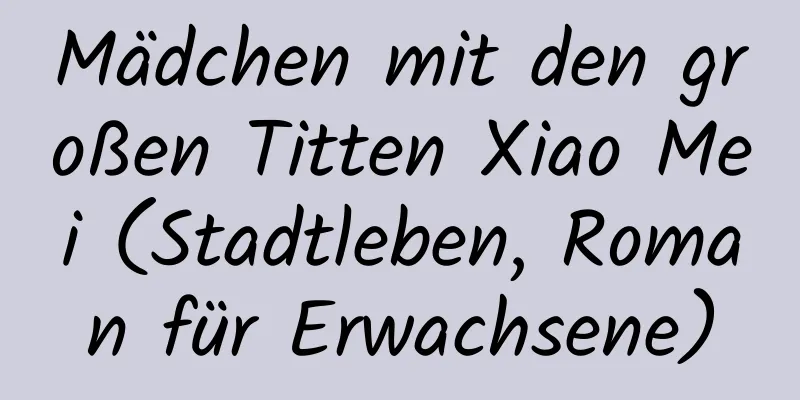 Mädchen mit den großen Titten Xiao Mei (Stadtleben, Roman für Erwachsene)