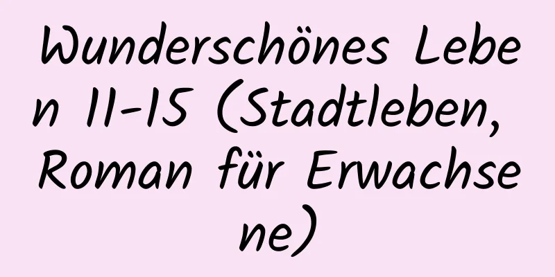 Wunderschönes Leben 11-15 (Stadtleben, Roman für Erwachsene)