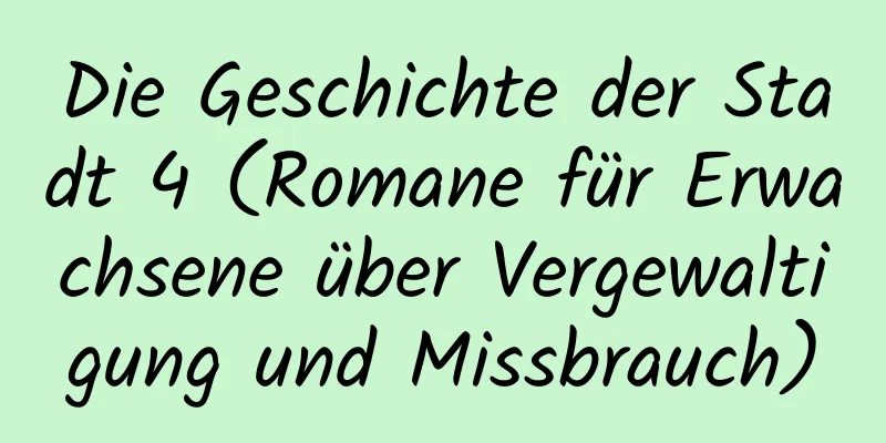 Die Geschichte der Stadt 4 (Romane für Erwachsene über Vergewaltigung und Missbrauch)