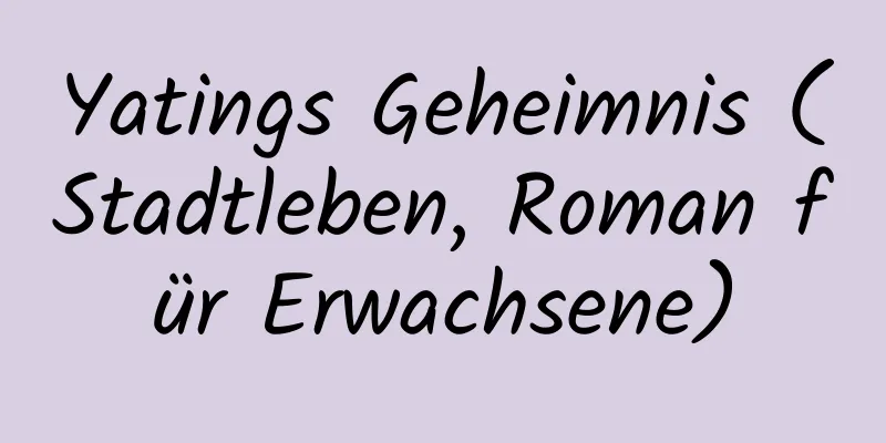 Yatings Geheimnis (Stadtleben, Roman für Erwachsene)