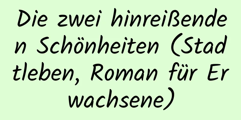 Die zwei hinreißenden Schönheiten (Stadtleben, Roman für Erwachsene)