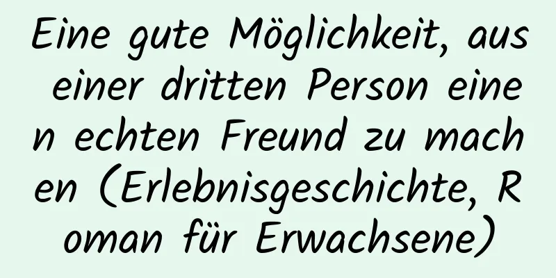 Eine gute Möglichkeit, aus einer dritten Person einen echten Freund zu machen (Erlebnisgeschichte, Roman für Erwachsene)