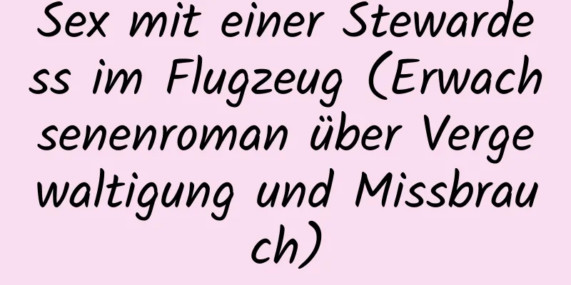 Sex mit einer Stewardess im Flugzeug (Erwachsenenroman über Vergewaltigung und Missbrauch)