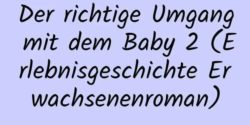 Der richtige Umgang mit dem Baby 2 (Erlebnisgeschichte Erwachsenenroman)