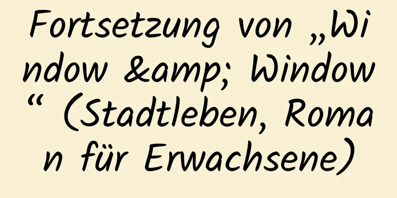 Fortsetzung von „Window & Window“ (Stadtleben, Roman für Erwachsene)