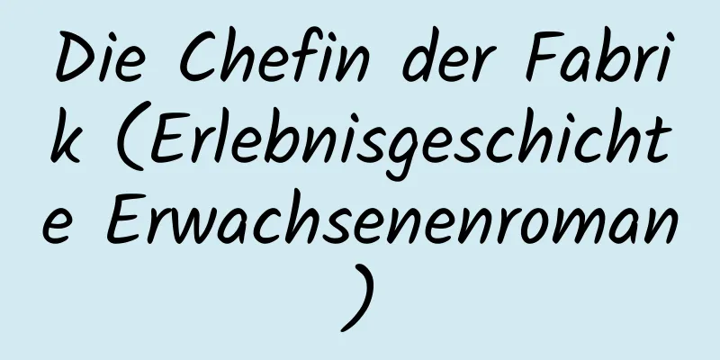 Die Chefin der Fabrik (Erlebnisgeschichte Erwachsenenroman)