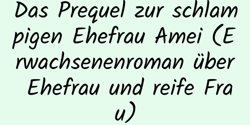 Das Prequel zur schlampigen Ehefrau Amei (Erwachsenenroman über Ehefrau und reife Frau)