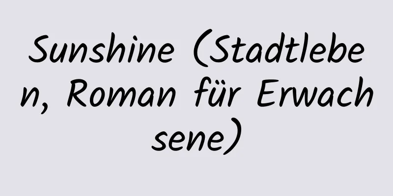 Sunshine (Stadtleben, Roman für Erwachsene)