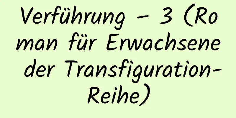 Verführung – 3 (Roman für Erwachsene der Transfiguration-Reihe)