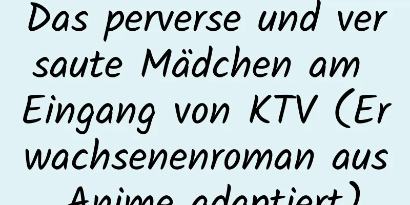 Das perverse und versaute Mädchen am Eingang von KTV (Erwachsenenroman aus Anime adaptiert)