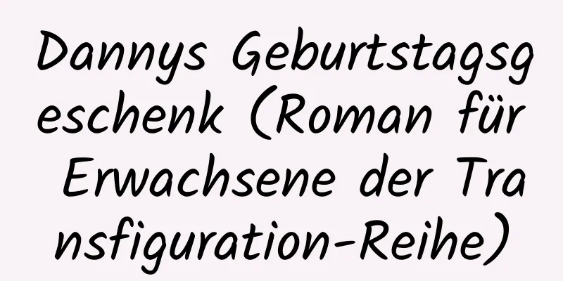 Dannys Geburtstagsgeschenk (Roman für Erwachsene der Transfiguration-Reihe)