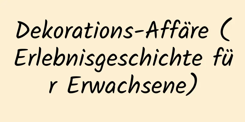 Dekorations-Affäre (Erlebnisgeschichte für Erwachsene)