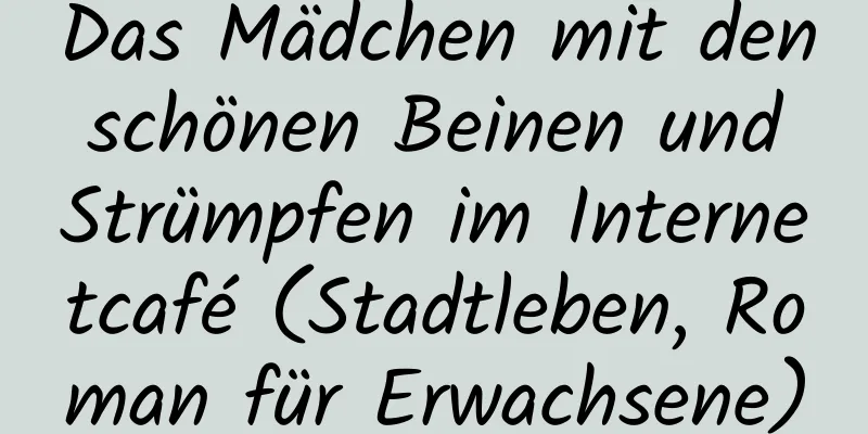 Das Mädchen mit den schönen Beinen und Strümpfen im Internetcafé (Stadtleben, Roman für Erwachsene)