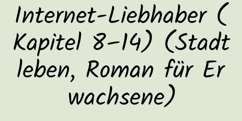 Internet-Liebhaber (Kapitel 8–14) (Stadtleben, Roman für Erwachsene)