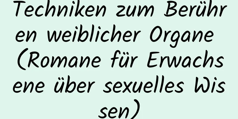 Techniken zum Berühren weiblicher Organe (Romane für Erwachsene über sexuelles Wissen)