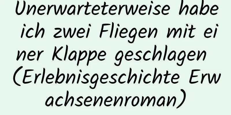 Unerwarteterweise habe ich zwei Fliegen mit einer Klappe geschlagen (Erlebnisgeschichte Erwachsenenroman)