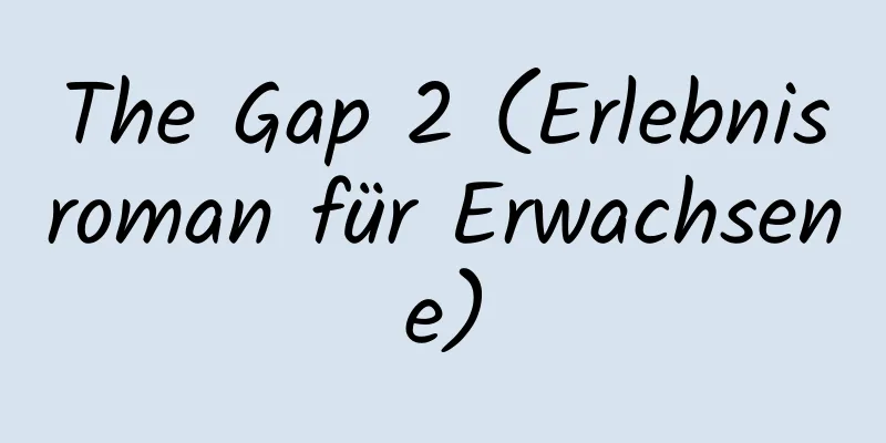 The Gap 2 (Erlebnisroman für Erwachsene)