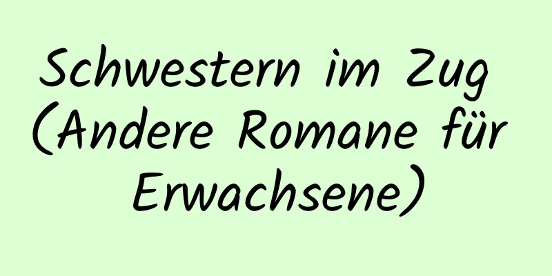 Schwestern im Zug (Andere Romane für Erwachsene)