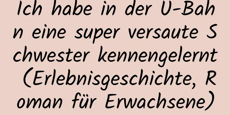 Ich habe in der U-Bahn eine super versaute Schwester kennengelernt (Erlebnisgeschichte, Roman für Erwachsene)