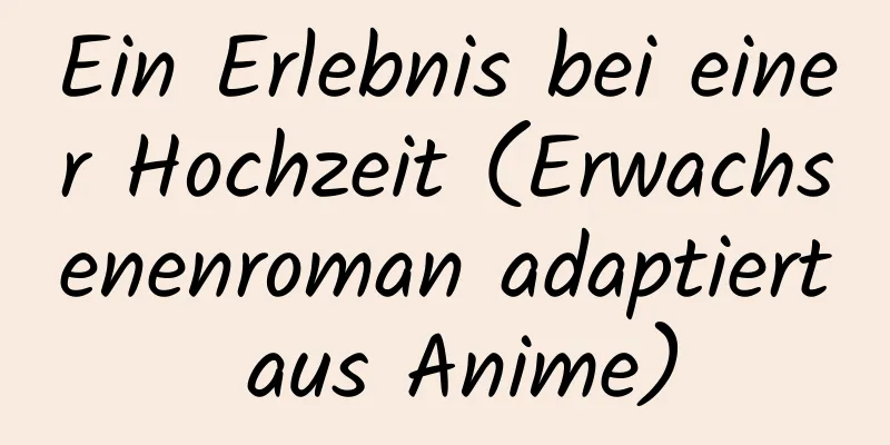 Ein Erlebnis bei einer Hochzeit (Erwachsenenroman adaptiert aus Anime)