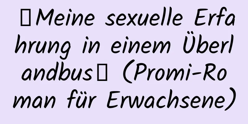 【Meine sexuelle Erfahrung in einem Überlandbus】 (Promi-Roman für Erwachsene)