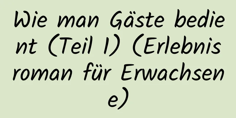 Wie man Gäste bedient (Teil 1) (Erlebnisroman für Erwachsene)