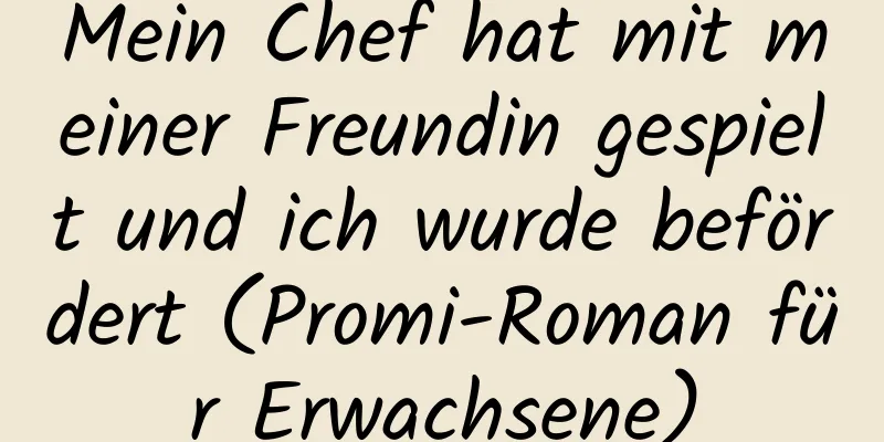 Mein Chef hat mit meiner Freundin gespielt und ich wurde befördert (Promi-Roman für Erwachsene)