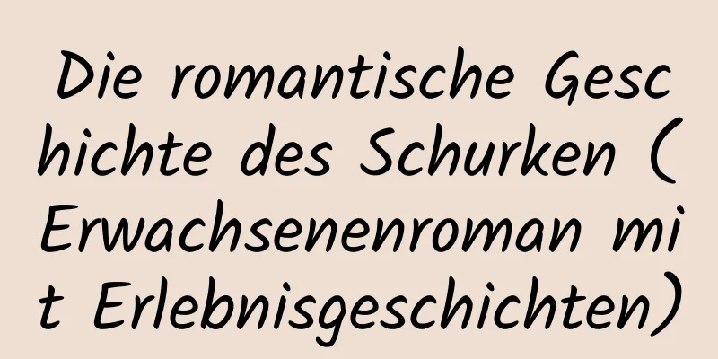 Die romantische Geschichte des Schurken (Erwachsenenroman mit Erlebnisgeschichten)