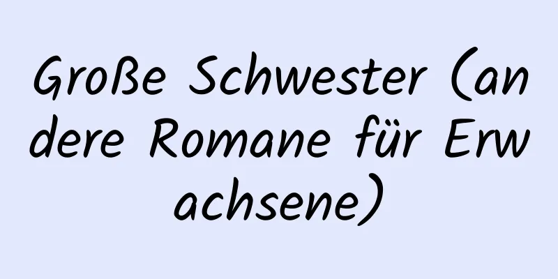 Große Schwester (andere Romane für Erwachsene)