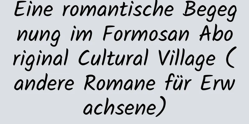 Eine romantische Begegnung im Formosan Aboriginal Cultural Village (andere Romane für Erwachsene)