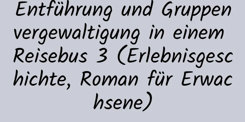 Entführung und Gruppenvergewaltigung in einem Reisebus 3 (Erlebnisgeschichte, Roman für Erwachsene)