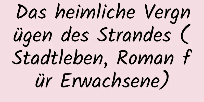 Das heimliche Vergnügen des Strandes (Stadtleben, Roman für Erwachsene)