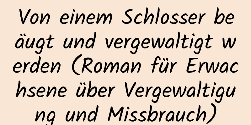 Von einem Schlosser beäugt und vergewaltigt werden (Roman für Erwachsene über Vergewaltigung und Missbrauch)